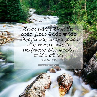 Picture 07 - లూకా 17:27 TELIRV - నోవహు ఓడలోకి - Bible Verse Picture