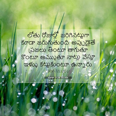 Picture 07 - లూకా 17:28 TELIRV - లోతు రోజుల్లో - Bible Verse Picture