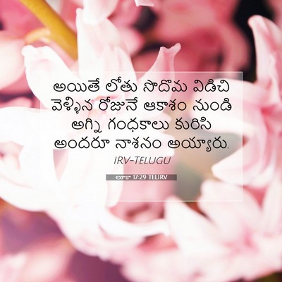 Picture 07 - లూకా 17:29 TELIRV - అయితే లోతు సొదొమ - Bible Verse Picture