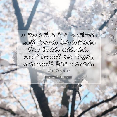 Picture 07 - లూకా 17:31 TELIRV - ఆ రోజున మేడ మీద - Bible Verse Picture