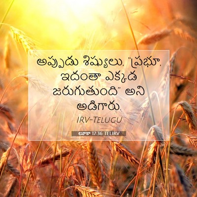 Picture 07 - లూకా 17:36 TELIRV - అప్పుడు శిష్యులు, - Bible Verse Picture
