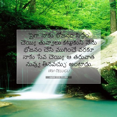 Picture 07 - లూకా 17:8 TELIRV - పైగా ‘నాకు భోజనం - Bible Verse Picture