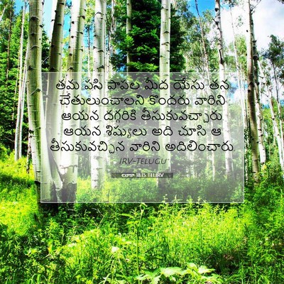 Picture 07 - లూకా 18:15 TELIRV - తమ పసి పాపల మీద - Bible Verse Picture