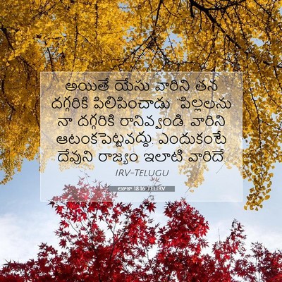 Picture 07 - లూకా 18:16 TELIRV - అయితే యేసు వారిని - Bible Verse Picture