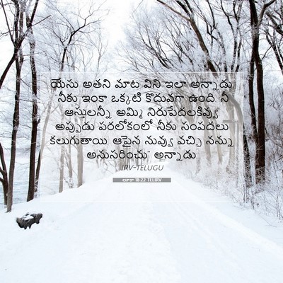 Picture 07 - లూకా 18:22 TELIRV - యేసు అతని మాట విని - Bible Verse Picture