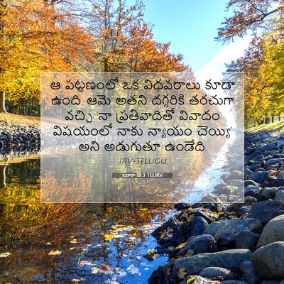 Picture 07 - లూకా 18:3 TELIRV - ఆ పట్టణంలో ఒక - Bible Verse Picture