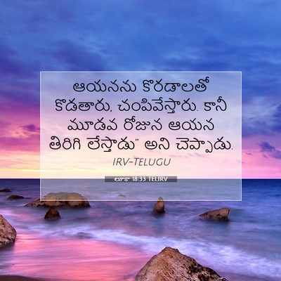 Picture 07 - లూకా 18:33 TELIRV - ఆయనను కొరడాలతో - Bible Verse Picture