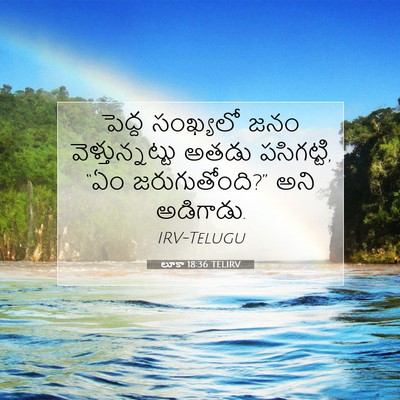 Picture 07 - లూకా 18:36 TELIRV - పెద్ద సంఖ్యలో జనం - Bible Verse Picture