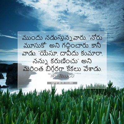 Picture 07 - లూకా 18:39 TELIRV - ముందు - Bible Verse Picture