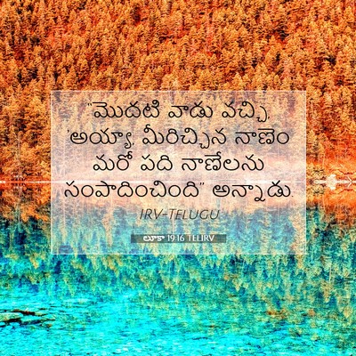 Picture 07 - లూకా 19:16 TELIRV - “మొదటి వాడు వచ్చి, - Bible Verse Picture