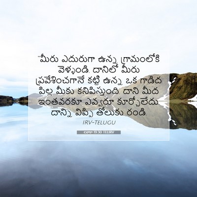 Picture 07 - లూకా 19:30 TELIRV - “మీరు ఎదురుగా - Bible Verse Picture
