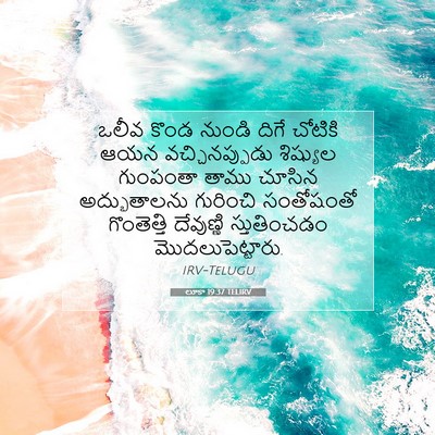 Picture 07 - లూకా 19:37 TELIRV - ఒలీవ కొండ నుండి - Bible Verse Picture
