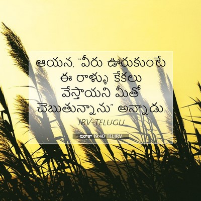 Picture 07 - లూకా 19:40 TELIRV - ఆయన, “వీరు - Bible Verse Picture