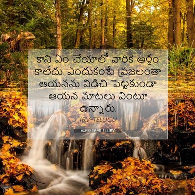 Picture 07 - లూకా 19:48 TELIRV - కాని ఏం చేయాలో - Bible Verse Picture