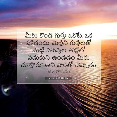 Picture 07 - లూకా 2:12 TELIRV - మీకు కొండ గుర్తు - Bible Verse Picture