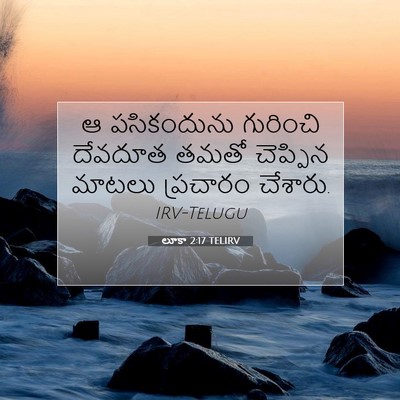 Picture 07 - లూకా 2:17 TELIRV - ఆ పసికందును - Bible Verse Picture