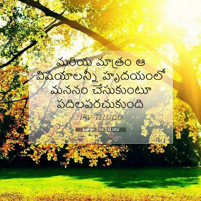 Picture 07 - లూకా 2:19 TELIRV - మరియ మాత్రం ఆ - Bible Verse Picture