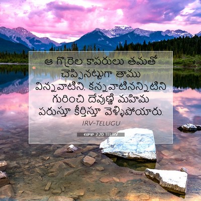 Picture 07 - లూకా 2:20 TELIRV - ఆ గొర్రెల కాపరులు - Bible Verse Picture