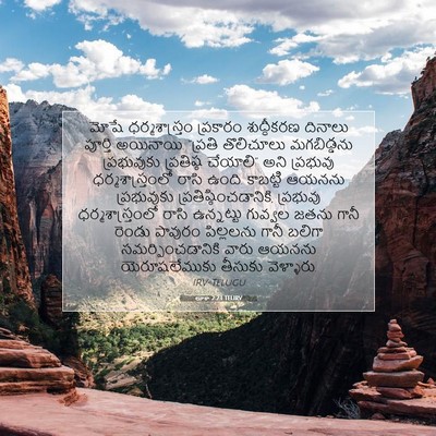 Picture 07 - లూకా 2:23 TELIRV - మోషే ధర్మశాస్త్రం - Bible Verse Picture