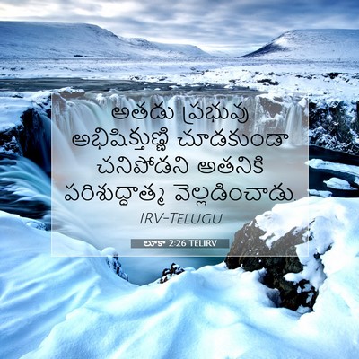 Picture 07 - లూకా 2:26 TELIRV - అతడు ప్రభువు - Bible Verse Picture