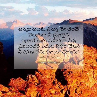Picture 07 - లూకా 2:30 TELIRV - అన్యజనులకు నిన్ను - Bible Verse Picture