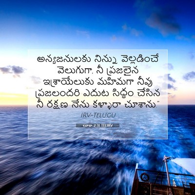Picture 07 - లూకా 2:31 TELIRV - అన్యజనులకు నిన్ను - Bible Verse Picture