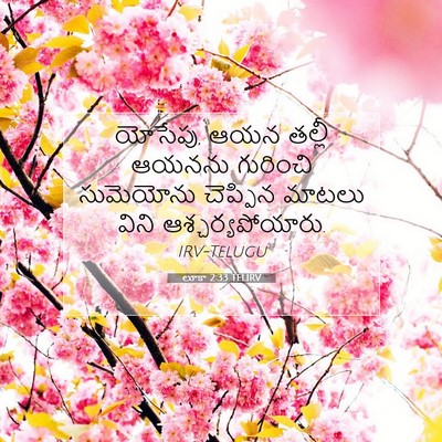 Picture 07 - లూకా 2:33 TELIRV - యోసేపు, ఆయన తల్లీ - Bible Verse Picture