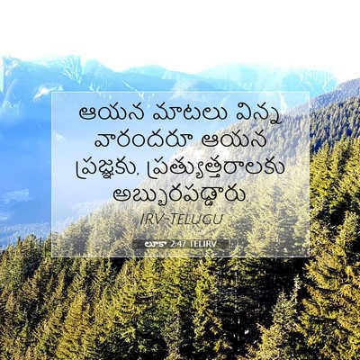 Picture 07 - లూకా 2:47 TELIRV - ఆయన మాటలు విన్న - Bible Verse Picture