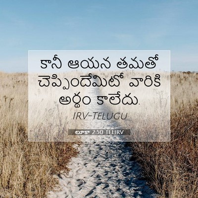 Picture 07 - లూకా 2:50 TELIRV - కానీ ఆయన తమతో - Bible Verse Picture