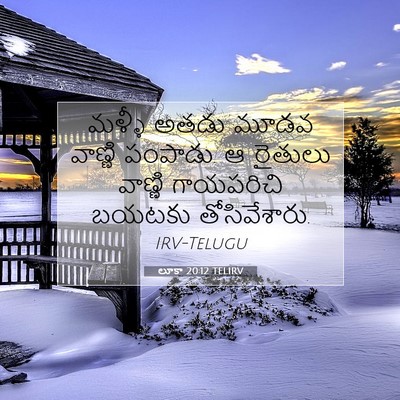 Picture 07 - లూకా 20:12 TELIRV - మళ్ళీ అతడు మూడవ - Bible Verse Picture