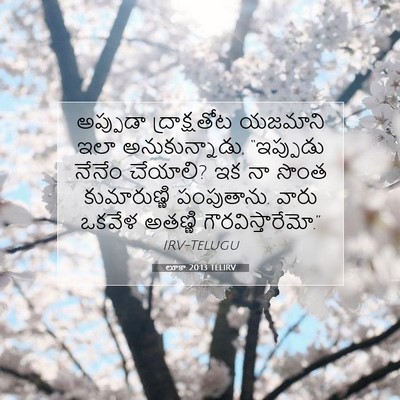 Picture 07 - లూకా 20:13 TELIRV - అప్పుడా - Bible Verse Picture