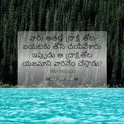 Picture 07 - లూకా 20:15 TELIRV - వారు అతణ్ణి - Bible Verse Picture