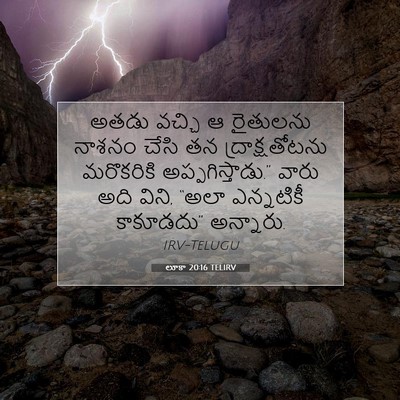 Picture 07 - లూకా 20:16 TELIRV - అతడు వచ్చి ఆ - Bible Verse Picture