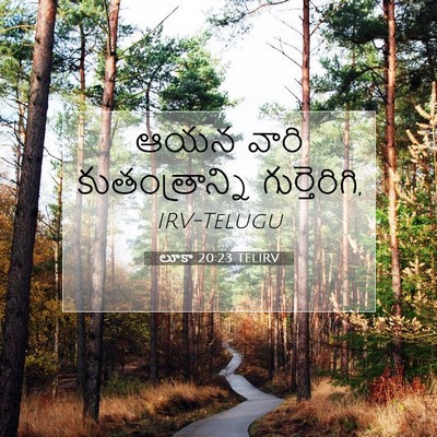 Picture 07 - లూకా 20:23 TELIRV - ఆయన వారి - Bible Verse Picture