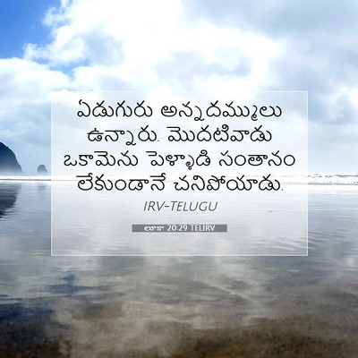 Picture 07 - లూకా 20:29 TELIRV - ఏడుగురు - Bible Verse Picture