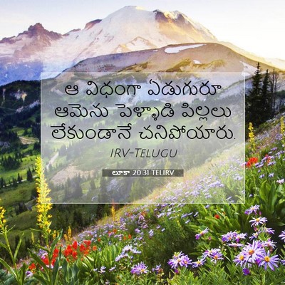 Picture 07 - లూకా 20:31 TELIRV - ఆ విధంగా ఏడుగురూ - Bible Verse Picture