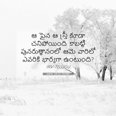 Picture 07 - లూకా 20:32 TELIRV - ఆ పైన ఆ స్త్రీ కూడా - Bible Verse Picture