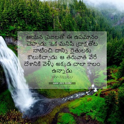 Picture 07 - లూకా 20:9 TELIRV - ఆయన ప్రజలతో ఈ - Bible Verse Picture