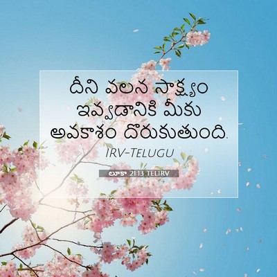 Picture 07 - లూకా 21:13 TELIRV - దీని వలన సాక్ష్యం - Bible Verse Picture