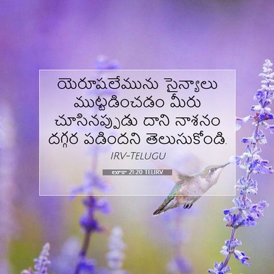 Picture 07 - లూకా 21:20 TELIRV - యెరూషలేమును - Bible Verse Picture