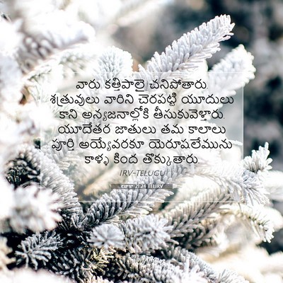 Picture 07 - లూకా 21:24 TELIRV - వారు కత్తిపాలై - Bible Verse Picture