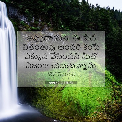 Picture 07 - లూకా 21:3 TELIRV - అప్పుడాయన “ఈ పేద - Bible Verse Picture