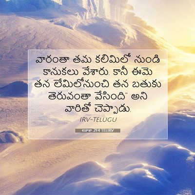 Picture 07 - లూకా 21:4 TELIRV - వారంతా తమ కలిమిలో - Bible Verse Picture