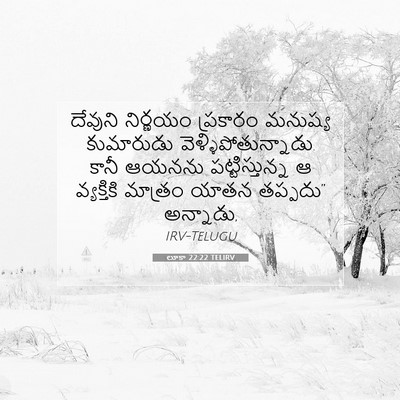Picture 07 - లూకా 22:22 TELIRV - దేవుని నిర్ణయం - Bible Verse Picture