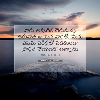 Picture 07 - లూకా 22:40 TELIRV - వారు అక్కడికి - Bible Verse Picture