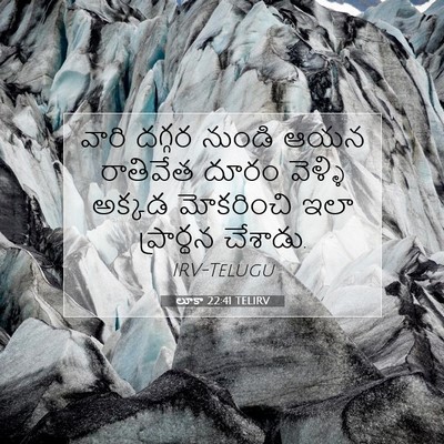 Picture 07 - లూకా 22:41 TELIRV - వారి దగ్గర నుండి - Bible Verse Picture