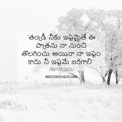 Picture 07 - లూకా 22:42 TELIRV - “తండ్రీ, నీకు - Bible Verse Picture