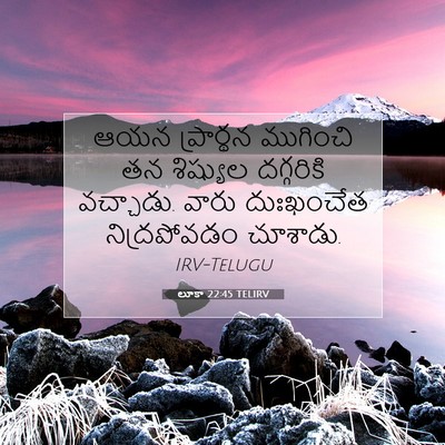Picture 07 - లూకా 22:45 TELIRV - ఆయన ప్రార్థన - Bible Verse Picture