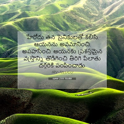 Picture 07 - లూకా 23:11 TELIRV - హేరోదు తన - Bible Verse Picture