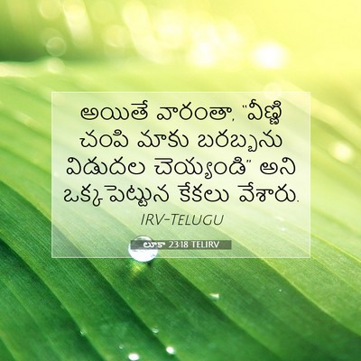 Picture 07 - లూకా 23:18 TELIRV - అయితే వారంతా, - Bible Verse Picture